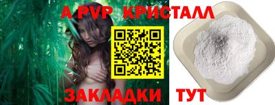 Альфа ПВП Можайск