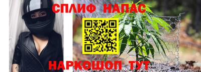 Альфа ПВП Можайск