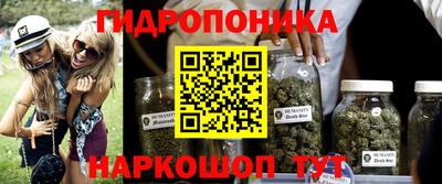 соль ск Можга