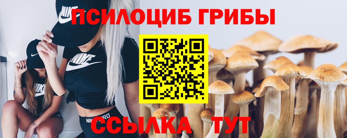 Тимашёвск  купить закладку  Вход с VPN  Галлюциногенные грибы мицелий  Псилоцибиновые грибы мухоморы 